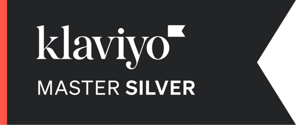 klaviyo master silver