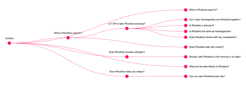 Diagram visualizing related search queries for 'Rhodiola.' It branches out to questions such as 'What is Rhodiola used for?', 'Is it OK to take Rhodiola every day?', 'Can I take Ashwagandha and Rhodiola together?', 'Does Rhodiola help with anxiety?', and 'What are the side effects of Rhodiola?' among others.