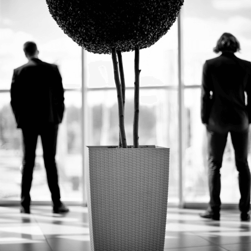 A black-and-white photo featuring two individuals standing near a large window, both looking away into the distance. A tall decorative plant in a woven pot is placed in the center of the frame, creating a separation between the two people