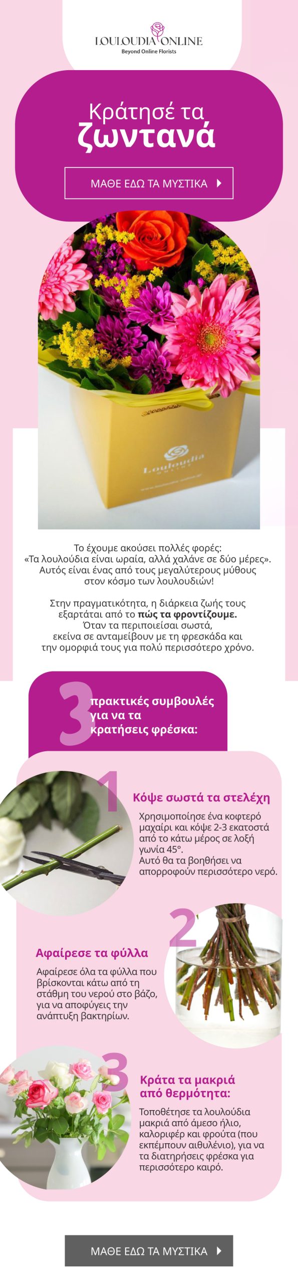newsletter-template-2 (1)